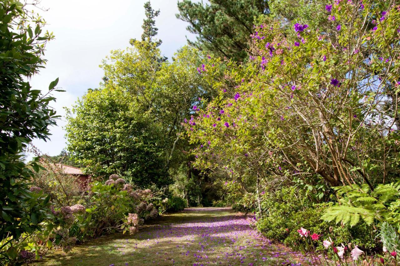 Quinta Santo Antonio Da Serra Bagian luar foto